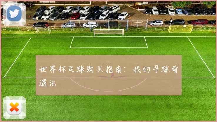 世界杯足球购买指南:我的寻球奇遇记