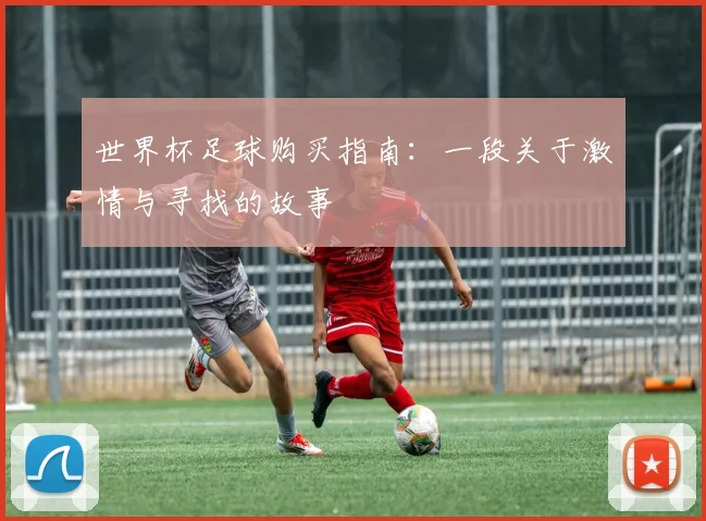 世界杯足球购买指南:一段关于激情与寻找的故事