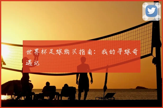 世界杯足球购买指南：我的寻球奇遇记