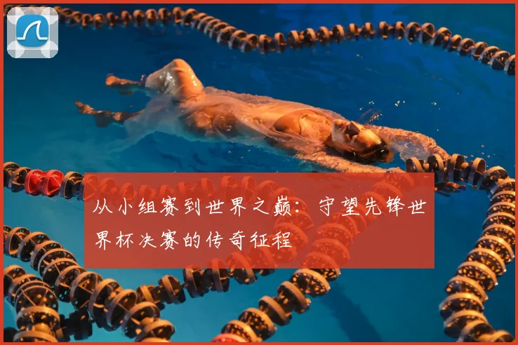从小组赛到世界之巅：守望先锋世界杯决赛的传奇征程