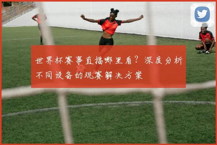 世界杯赛事直播哪里看？深度分析不同设备的观赛解决方案